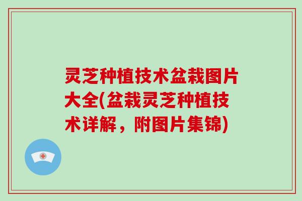 灵芝种植技术盆栽图片大全(盆栽灵芝种植技术详解,附图片集锦)