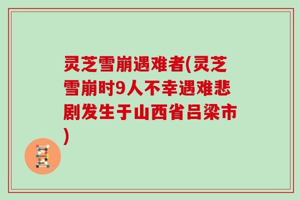 灵芝雪崩遇难者(灵芝雪崩时9人不幸遇难悲剧发生于山西省吕梁市)