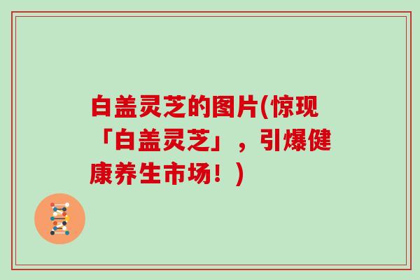 白盖灵芝的图片(惊现「白盖灵芝」,引爆健康养生市场!)