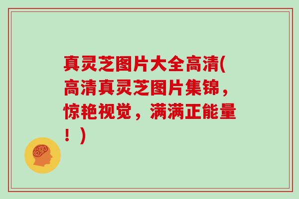 真灵芝图片大全高清(高清真灵芝图片集锦，惊艳视觉，满满正能量！)