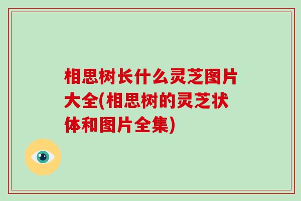 相思树长什么灵芝图片大全(相思树的灵芝状体和图片全集)