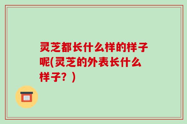 灵芝都长什么样的样子呢(灵芝的外表长什么样子?)