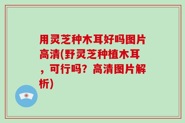 用灵芝种木耳好吗图片高清(野灵芝种植木耳，可行吗？高清图片解析)