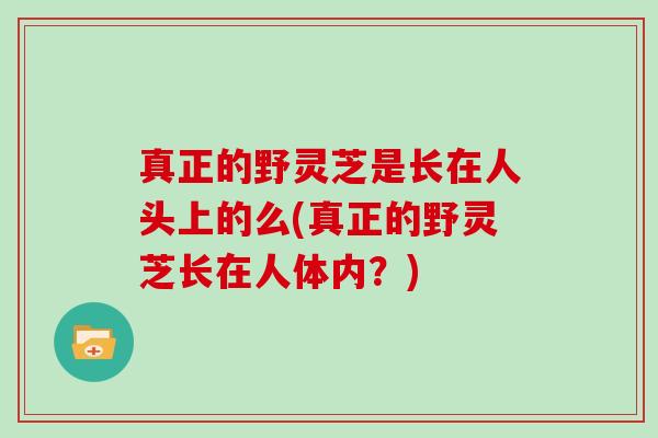 真正的野灵芝是长在人头上的么(真正的野灵芝长在人体内?)