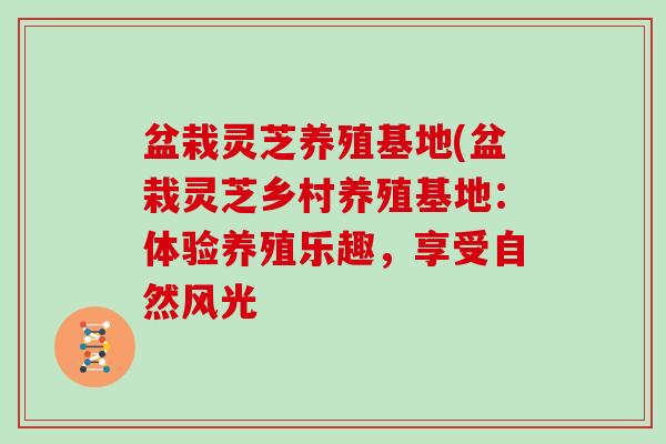 盆栽灵芝养殖基地(盆栽灵芝乡村养殖基地：体验养殖乐趣，享受自然风光