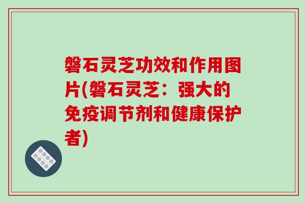 磐石灵芝功效和作用图片(磐石灵芝:强大的免疫调节剂和健康保护者)