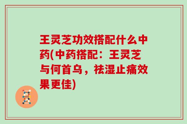 王灵芝功效搭配什么中药(中药搭配:王灵芝与何首乌,祛湿止痛效果更佳)
