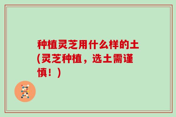 种植灵芝用什么样的土(灵芝种植,选土需谨慎!)