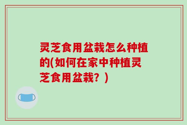 灵芝食用盆栽怎么种植的(如何在家中种植灵芝食用盆栽？)