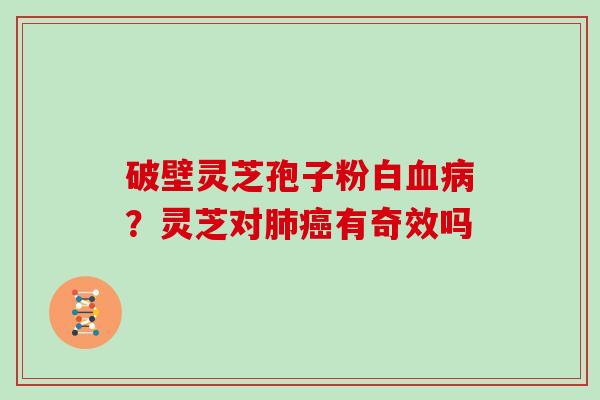 破壁灵芝孢子粉白血病?灵芝对肺癌有奇效吗