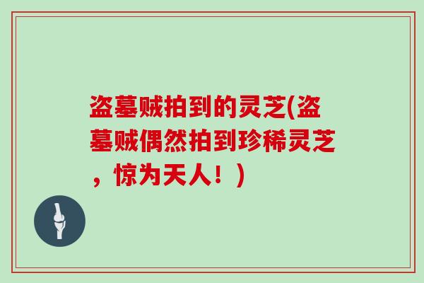 盗墓贼拍到的灵芝(盗墓贼偶然拍到珍稀灵芝,惊为天人!)