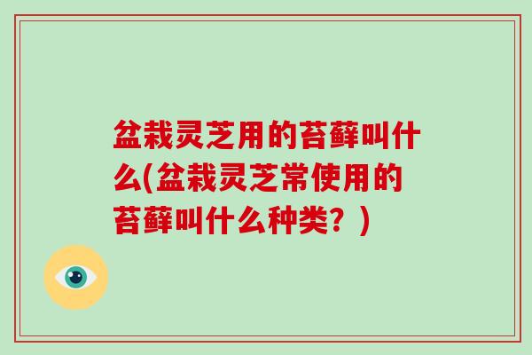 盆栽灵芝用的苔藓叫什么(盆栽灵芝常使用的苔藓叫什么种类?)
