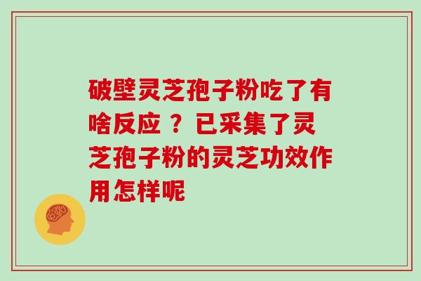 破壁灵芝孢子粉吃了有啥反应 ?已采集了灵芝孢子粉的灵芝功效作用怎样呢