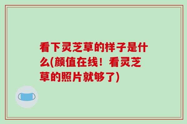 看下灵芝草的样子是什么(颜值在线!看灵芝草的照片就够了)