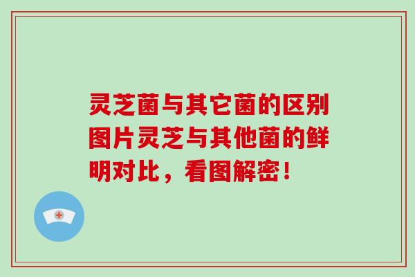 灵芝菌与其它菌的区别图片灵芝与其他菌的鲜明对比，看图解密！