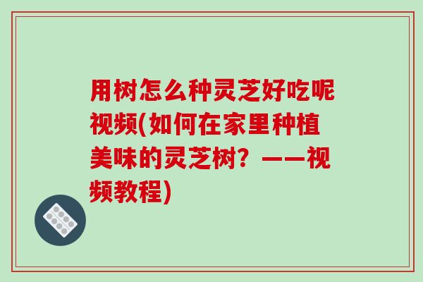 用树怎么种灵芝好吃呢视频(如何在家里种植美味的灵芝树？——视频教程)