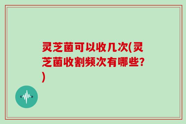 灵芝菌可以收几次(灵芝菌收割频次有哪些?)