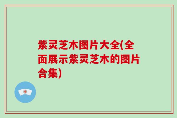 紫灵芝木图片大全(全面展示紫灵芝木的图片合集)