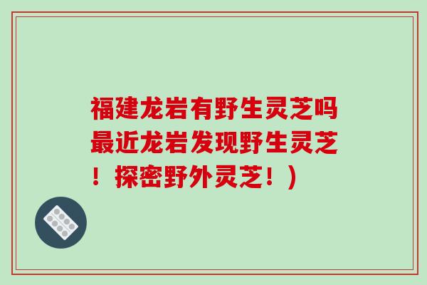 福建龙岩有野生灵芝吗最近龙岩发现野生灵芝！探密野外灵芝！)