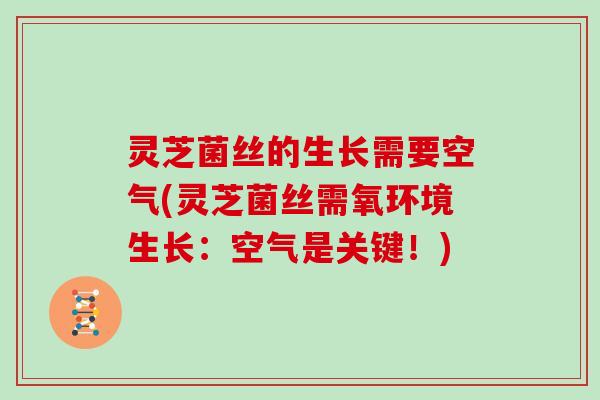 灵芝菌丝的生长需要空气(灵芝菌丝需氧环境生长:空气是关键!)