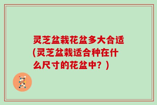 灵芝盆栽花盆多大合适(灵芝盆栽适合种在什么尺寸的花盆中?)