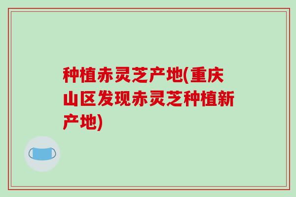 种植赤灵芝产地(重庆山区发现赤灵芝种植新产地)