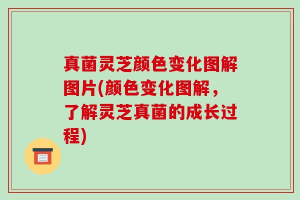 真菌灵芝颜色变化图解图片(颜色变化图解,了解灵芝真菌的成长过程)