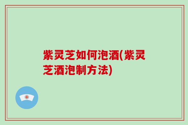 紫灵芝如何泡酒(紫灵芝酒泡制方法)