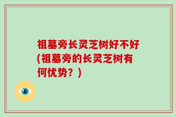 祖墓旁长灵芝树好不好(祖墓旁的长灵芝树有何优势?)