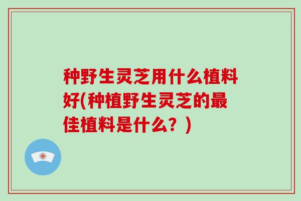 种野生灵芝用什么植料好(种植野生灵芝的最佳植料是什么?)