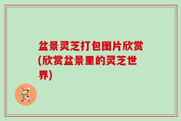 盆景灵芝打包图片欣赏(欣赏盆景里的灵芝世界)