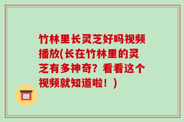 竹林里长灵芝好吗视频播放(长在竹林里的灵芝有多神奇?看看这个视频就知道啦!)
