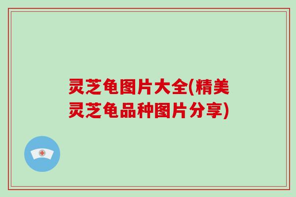 灵芝龟图片大全(精美灵芝龟品种图片分享)