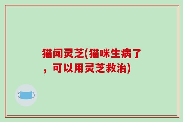 猫闻灵芝(猫咪生病了,可以用灵芝救治)
