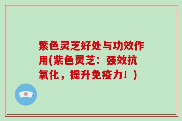 紫色灵芝好处与功效作用(紫色灵芝：强效抗氧化，提升免疫力！)