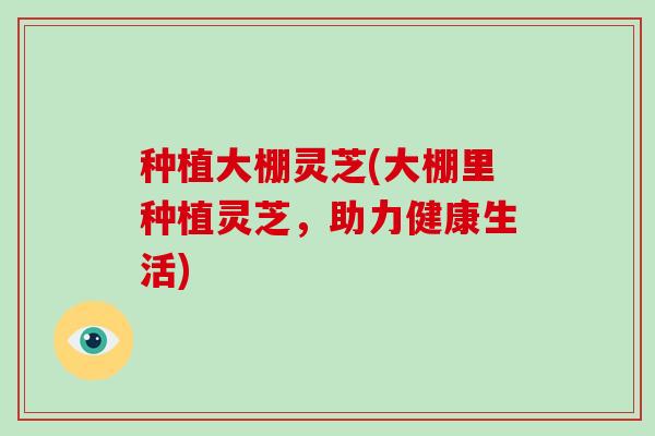 种植大棚灵芝(大棚里种植灵芝，助力健康生活)