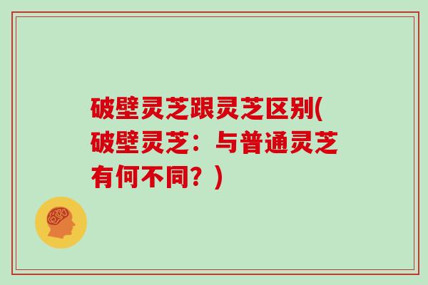 破壁灵芝跟灵芝区别(破壁灵芝:与普通灵芝有何不同?)