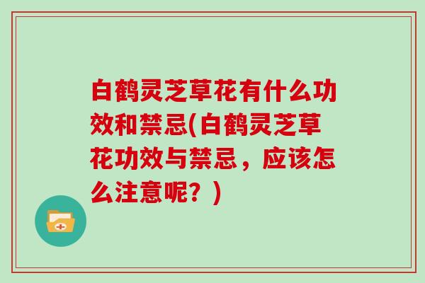 白鹤灵芝草花有什么功效和禁忌(白鹤灵芝草花功效与禁忌，应该怎么注意呢？)