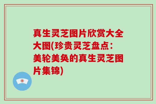 真生灵芝图片欣赏大全大图(珍贵灵芝盘点：美轮美奂的真生灵芝图片集锦)