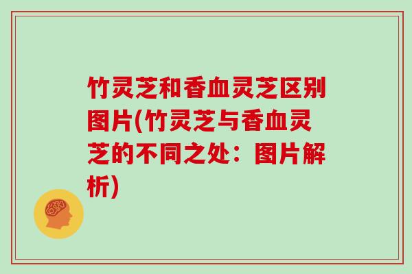 竹灵芝和香血灵芝区别图片(竹灵芝与香血灵芝的不同之处:图片解析)