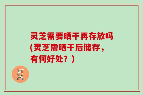 灵芝需要晒干再存放吗(灵芝需晒干后储存,有何好处?)