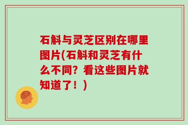 石斛与灵芝区别在哪里图片(石斛和灵芝有什么不同?看这些图片就知道了!)
