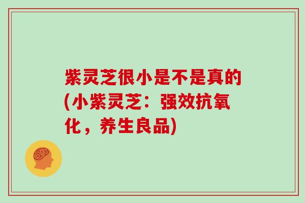 紫灵芝很小是不是真的(小紫灵芝:强效抗氧化,养生良品)