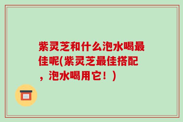 紫灵芝和什么泡水喝最佳呢(紫灵芝最佳搭配,泡水喝用它!)