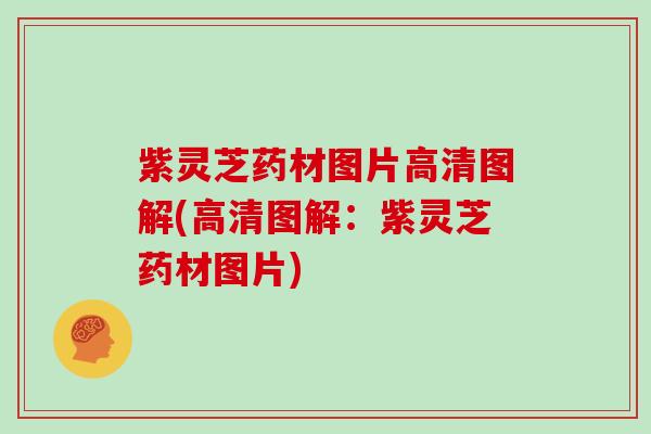 紫灵芝药材图片高清图解(高清图解：紫灵芝药材图片)