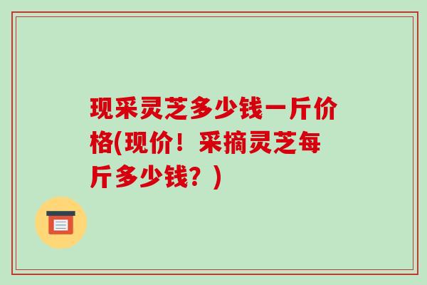 现采灵芝多少钱一斤价格(现价!采摘灵芝每斤多少钱?)