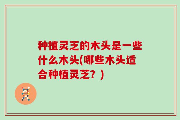 种植灵芝的木头是一些什么木头(哪些木头适合种植灵芝？)