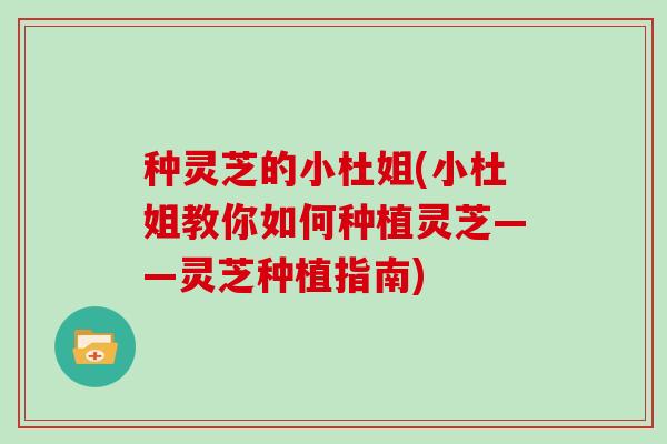 种灵芝的小杜姐(小杜姐教你如何种植灵芝——灵芝种植指南)