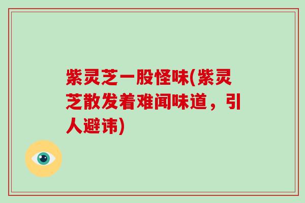 紫灵芝一股怪味(紫灵芝散发着难闻味道，引人避讳)