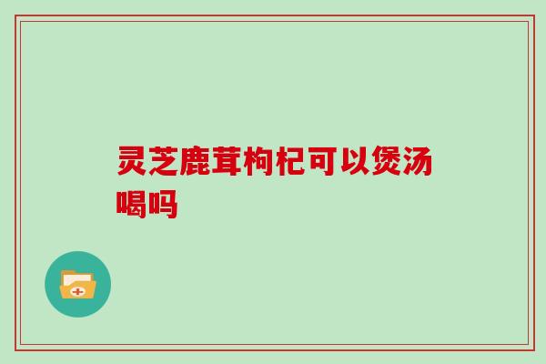 灵芝鹿茸枸杞可以煲汤喝吗